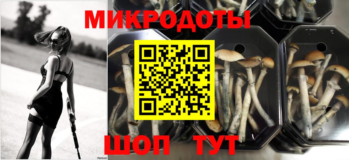 Горячий Ключ  Галлюциногенные грибы Magic Shrooms  Вход с VPN  Галлюциногенные грибы Psilocybine cubensis 